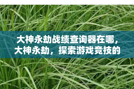 大神永劫战绩查询器在哪,大神永劫,探索游戏竞技的无限可能 大神永劫战绩查询器在哪,大神永劫,探索游戏竞技的无限可能