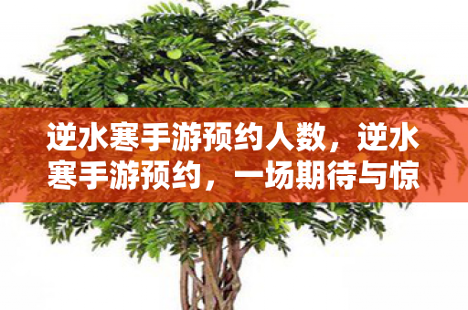 逆水寒手游预约人数,逆水寒手游预约,一场期待与惊喜的邂逅 逆水寒手游预约人数,逆水寒手游预约,一场期待与惊喜的邂逅