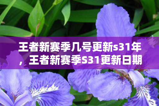 王者新赛季几号更新s31年，王者新赛季S31更新日期揭晓，全新挑战与机遇并存