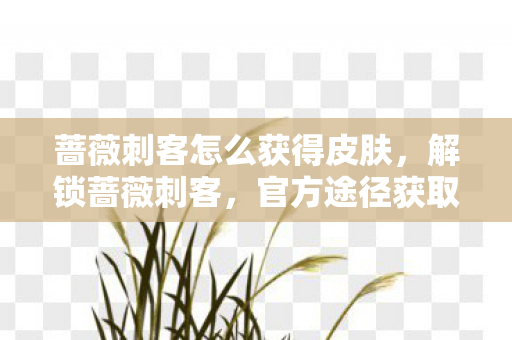 蔷薇刺客怎么获得皮肤，解锁蔷薇刺客，官方途径获取攻略
