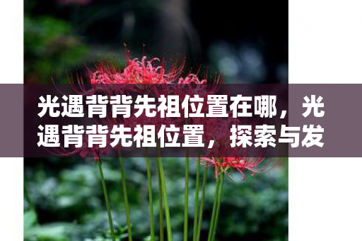 光遇背背先祖位置在哪,光遇背背先祖位置,探索与发现的奇妙之旅 光遇背背先祖位置在哪,光遇背背先祖位置,探索与发现的奇妙之旅