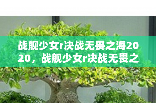 战舰少女r决战无畏之海2020,战舰少女r决战无畏之海攻略 战舰少女r决战无畏之海2020,战舰少女r决战无畏之海攻略