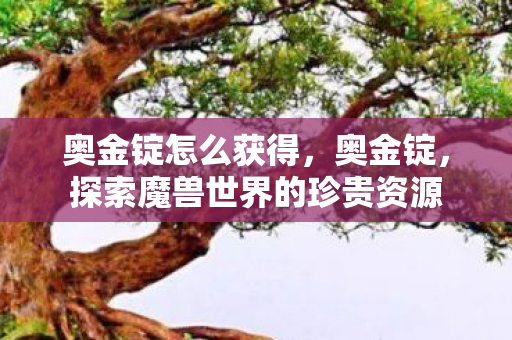 探索魔兽世界的珍贵资源图片