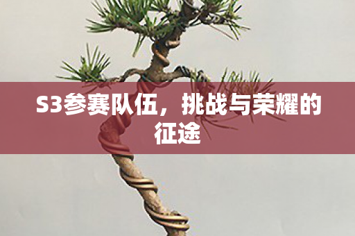 S3参赛队伍,挑战与荣耀的征途 S3参赛队伍,挑战与荣耀的征途