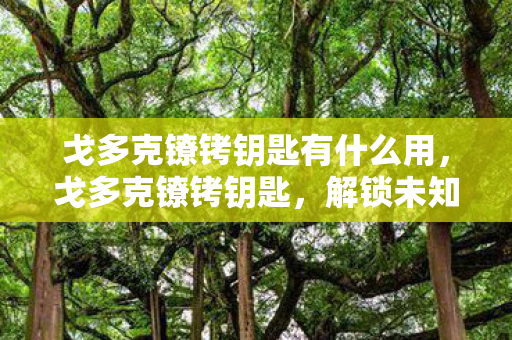戈多克镣铐钥匙有什么用,戈多克镣铐钥匙,解锁未知世界的神秘钥匙 戈多克镣铐钥匙有什么用,戈多克镣铐钥匙,解锁未知世界的神秘钥匙