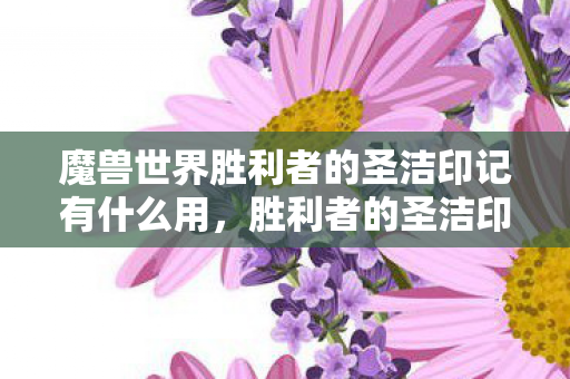 魔兽世界胜利者的圣洁印记有什么用，胜利者的圣洁印记兑换攻略，解锁游戏内稀有奖励的详细步骤