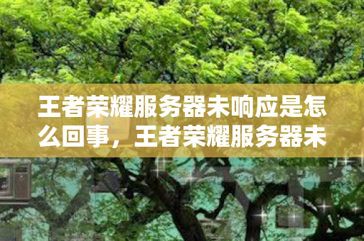 王者荣耀服务器未响应是怎么回事，王者荣耀服务器未响应，深度解析背后的原因与解决方案