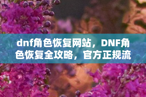 dnf角色恢复网站,DNF角色恢复全攻略,官方正规流程解析 dnf角色恢复网站,DNF角色恢复全攻略,官方正规流程解析