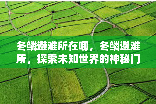 探索未知世界的神秘门户图片