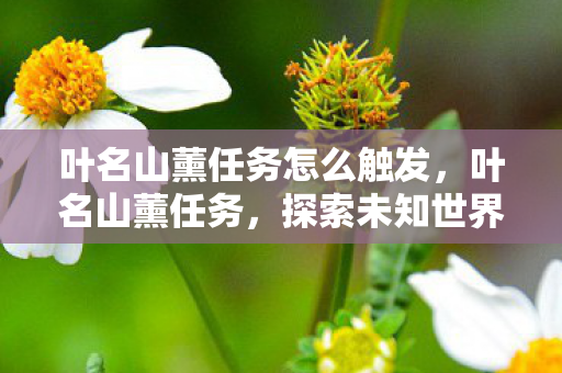 探索未知世界的奇妙之旅图片