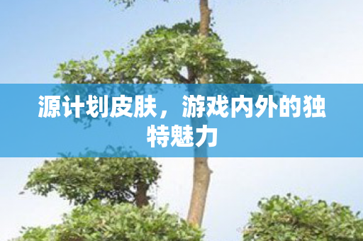 源计划皮肤,游戏内外的独特魅力 源计划皮肤,游戏内外的独特魅力