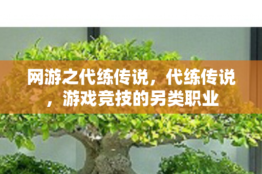 网游之代练传说,代练传说,游戏竞技的另类职业 网游之代练传说,代练传说,游戏竞技的另类职业