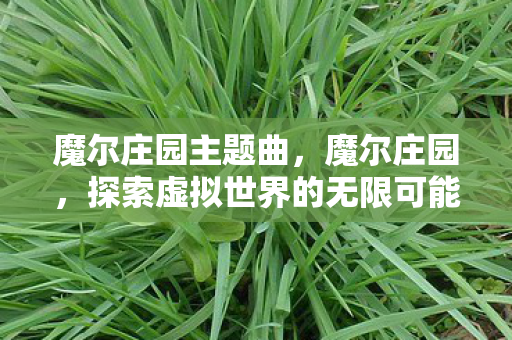 魔尔庄园主题曲,魔尔庄园,探索虚拟世界的无限可能 魔尔庄园主题曲,魔尔庄园,探索虚拟世界的无限可能