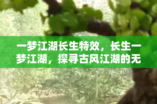 一梦江湖长生特效,长生一梦江湖,探寻古风江湖的无限可能 一梦江湖长生特效,长生一梦江湖,探寻古风江湖的无限可能