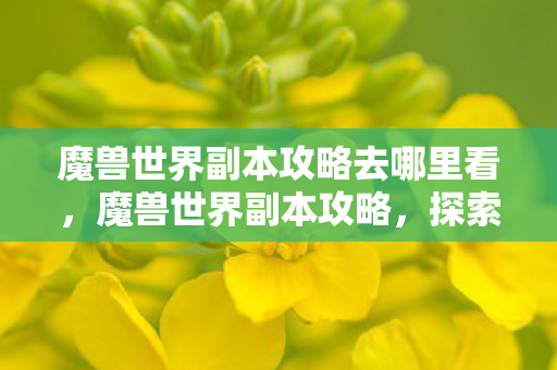 魔兽世界副本攻略去哪里看,魔兽世界副本攻略,探索艾泽拉斯的深层挑战 魔兽世界副本攻略去哪里看,魔兽世界副本攻略,探索艾泽拉斯的深层挑战