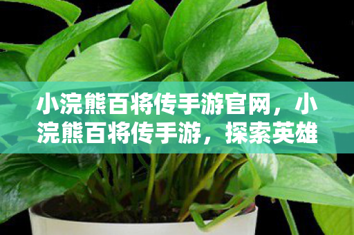小浣熊百将传手游官网，小浣熊百将传手游，探索英雄世界的奇妙之旅