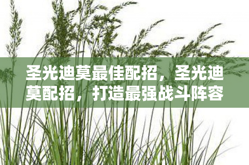 圣光迪莫最佳配招,圣光迪莫配招,打造最强战斗阵容 圣光迪莫最佳配招,圣光迪莫配招,打造最强战斗阵容
