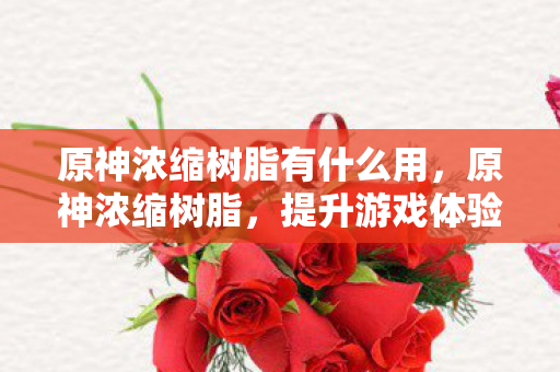 原神浓缩树脂有什么用,原神浓缩树脂,提升游戏体验的实用工具 原神浓缩树脂有什么用,原神浓缩树脂,提升游戏体验的实用工具