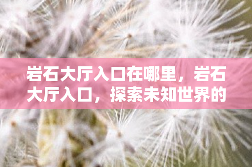 岩石大厅入口在哪里,岩石大厅入口,探索未知世界的神秘门户 岩石大厅入口在哪里,岩石大厅入口,探索未知世界的神秘门户