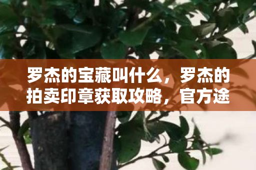 罗杰的宝藏叫什么,罗杰的拍卖印章获取攻略,官方途径与策略分享 罗杰的宝藏叫什么,罗杰的拍卖印章获取攻略,官方途径与策略分享