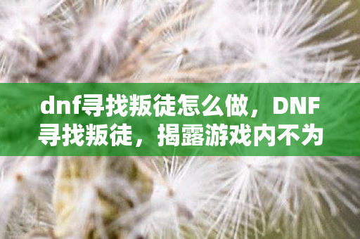 dnf寻找叛徒怎么做,DNF寻找叛徒,揭露游戏内不为人知的秘密 dnf寻找叛徒怎么做,DNF寻找叛徒,揭露游戏内不为人知的秘密