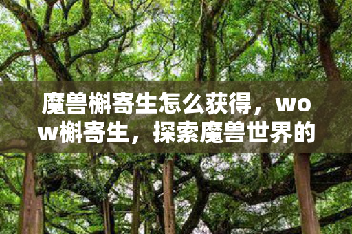 魔兽槲寄生怎么获得,wow槲寄生,探索魔兽世界的自然魅力与生态循环 魔兽槲寄生怎么获得,wow槲寄生,探索魔兽世界的自然魅力与生态循环