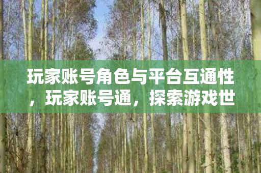 玩家账号角色与平台互通性图片