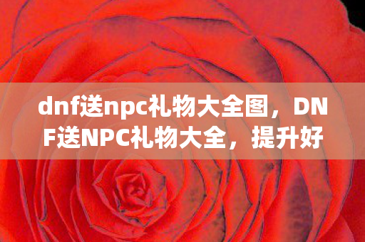 dnf送npc礼物大全图图片