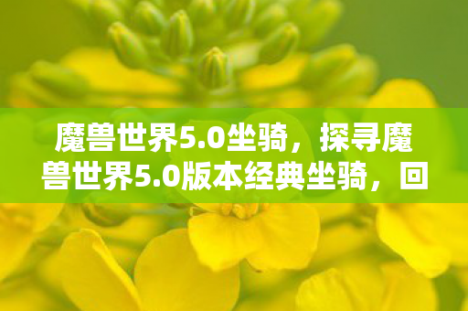 魔兽世界5.0坐骑,探寻魔兽世界5.0版本经典坐骑,回忆与荣耀的交织 魔兽世界5.0坐骑,探寻魔兽世界5.0版本经典坐骑,回忆与荣耀的交织