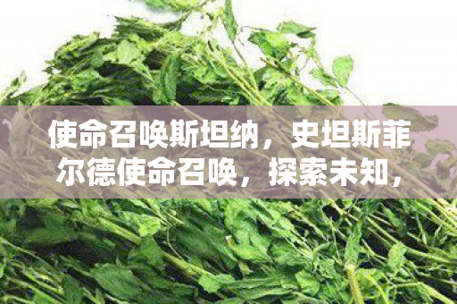 使命召唤斯坦纳，史坦斯菲尔德使命召唤，探索未知，挑战极限