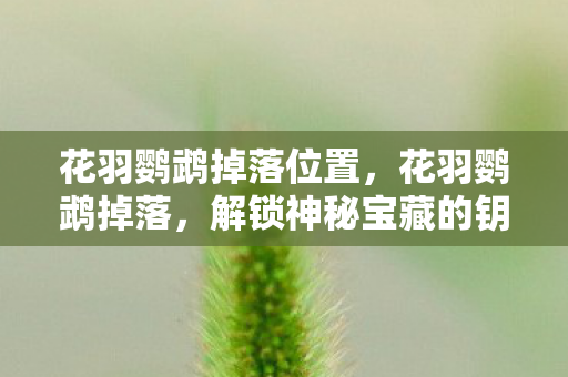 花羽鹦鹉掉落位置,花羽鹦鹉掉落,解锁神秘宝藏的钥匙 花羽鹦鹉掉落位置,花羽鹦鹉掉落,解锁神秘宝藏的钥匙