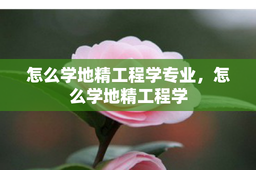 怎么学地精工程学专业,怎么学地精工程学 怎么学地精工程学专业,怎么学地精工程学