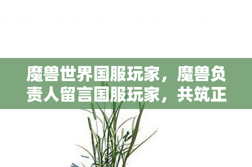 魔兽世界国服玩家,魔兽负责人留言国服玩家,共筑正版游戏环境,携手前行 魔兽世界国服玩家,魔兽负责人留言国服玩家,共筑正版游戏环境,携手前行