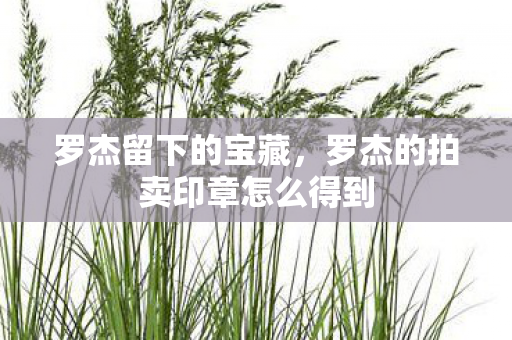 罗杰留下的宝藏,罗杰的拍卖印章怎么得到 罗杰留下的宝藏,罗杰的拍卖印章怎么得到