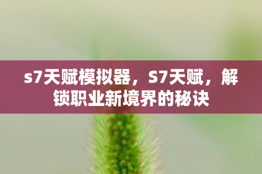 解锁职业新境界的秘诀图片