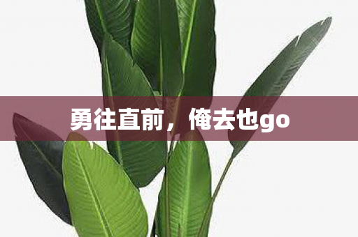 勇往直前,俺去也go 勇往直前,俺去也go