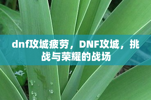 挑战与荣耀的战场图片