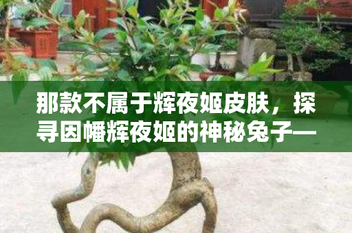 那款不属于辉夜姬皮肤,探寻因幡辉夜姬的神秘兔子—非官方角色揭秘 那款不属于辉夜姬皮肤,探寻因幡辉夜姬的神秘兔子—非官方角色揭秘