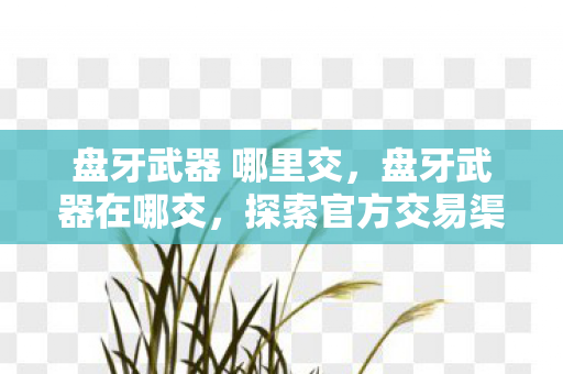 探索官方交易渠道与策略图片