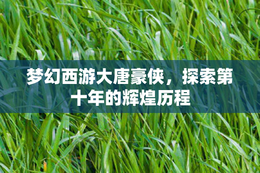 梦幻西游大唐豪侠,探索第十年的辉煌历程 梦幻西游大唐豪侠,探索第十年的辉煌历程