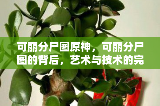 可丽分尸图原神,可丽分尸图的背后,艺术与技术的完美融合 可丽分尸图原神,可丽分尸图的背后,艺术与技术的完美融合