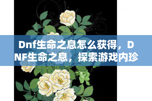 探索游戏内珍贵资源的奥秘图片