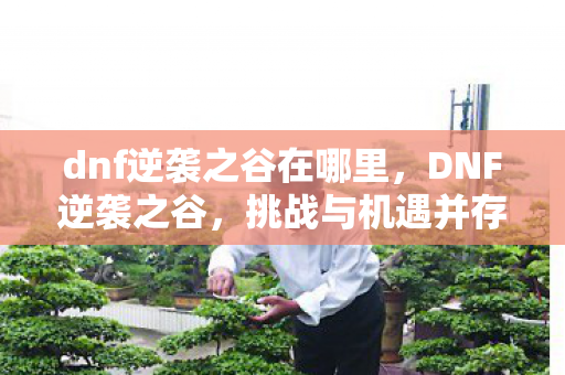 dnf逆袭之谷在哪里图片