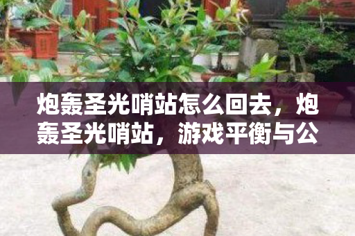 炮轰圣光哨站怎么回去，炮轰圣光哨站，游戏平衡与公平的底线何在？