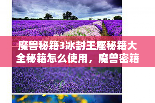 魔兽秘籍3冰封王座秘籍大全秘籍怎么使用，魔兽密籍，探索游戏深层策略与技巧