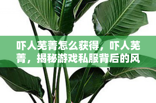 吓人芜菁怎么获得,吓人芜菁,揭秘游戏私服背后的风险与隐患 吓人芜菁怎么获得,吓人芜菁,揭秘游戏私服背后的风险与隐患