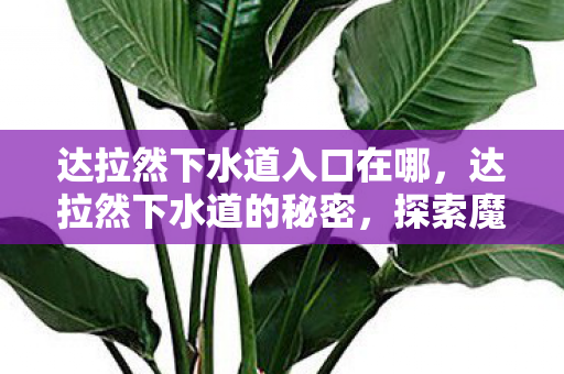 达拉然下水道入口在哪,达拉然下水道的秘密,探索魔兽世界的隐秘角落 达拉然下水道入口在哪,达拉然下水道的秘密,探索魔兽世界的隐秘角落