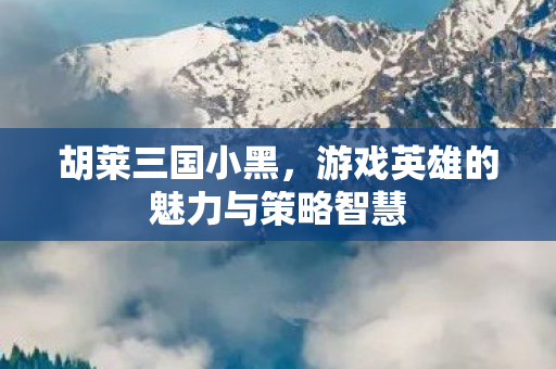 胡莱三国小黑,游戏英雄的魅力与策略智慧 胡莱三国小黑,游戏英雄的魅力与策略智慧