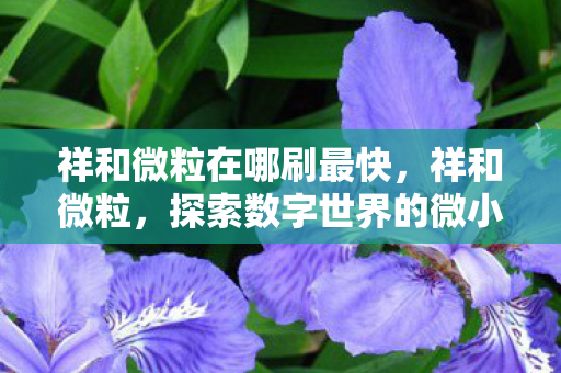 祥和微粒在哪刷最快,祥和微粒,探索数字世界的微小奇迹 祥和微粒在哪刷最快,祥和微粒,探索数字世界的微小奇迹