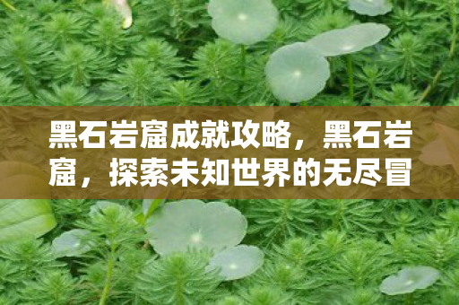 黑石岩窟成就攻略,黑石岩窟,探索未知世界的无尽冒险 黑石岩窟成就攻略,黑石岩窟,探索未知世界的无尽冒险